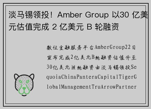 淡马锡领投！Amber Group 以30 亿美元估值完成 2 亿美元 B 轮融资